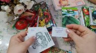 Какие сорта семян сажать в огороде часть (9)