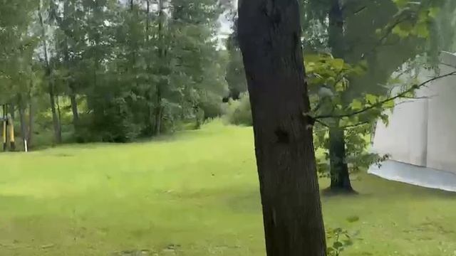 Аренда площадки для мероприятия,89015444723