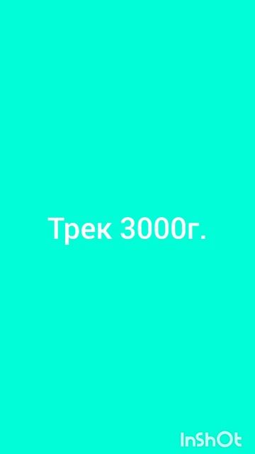 трек 3000 года