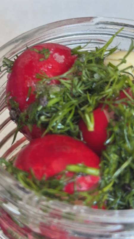 Битая редиска в банке