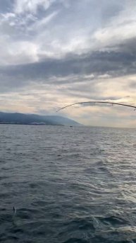 Два дракона. Рыбалка в Сочи. #fishing #рыболовныйгид #сочим