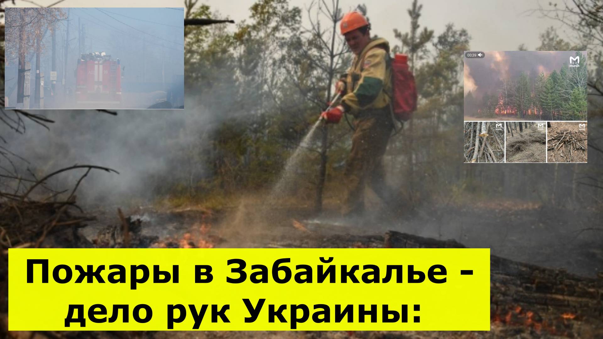 Пожары в Забайкалье - дело рук Украины: Найдены следы поджигателей, пошли первые задержания