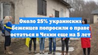 Около 25% украинских беженцев попросили о праве остаться в Чехии еще на 5 лет