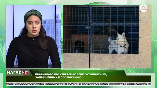 Правительство утвердило список животных, запрещенных к содержанию