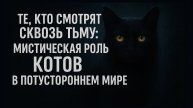 Мистическая роль котов в потустороннем мире