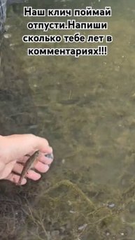 Сколько лет тебе?Напиши в комментариях #рыбалка #юмор #