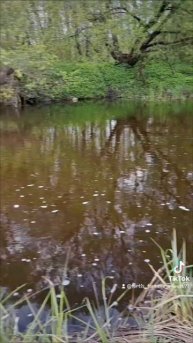 #fishing #рек #рыбалка #природа #ютуб #украина