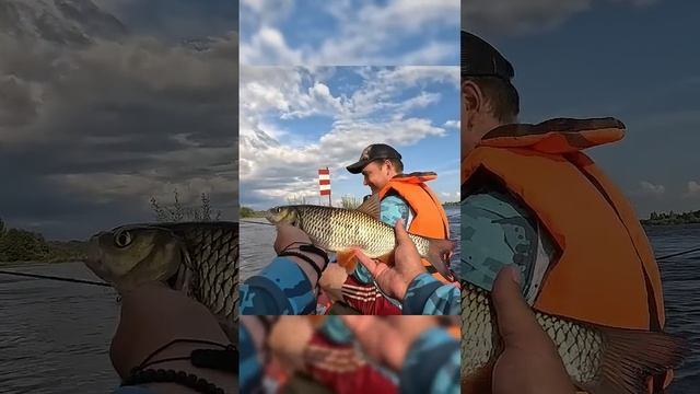 Сезон рыбалки за 120 секунд Вторая часть! #рыбалка #fishing #