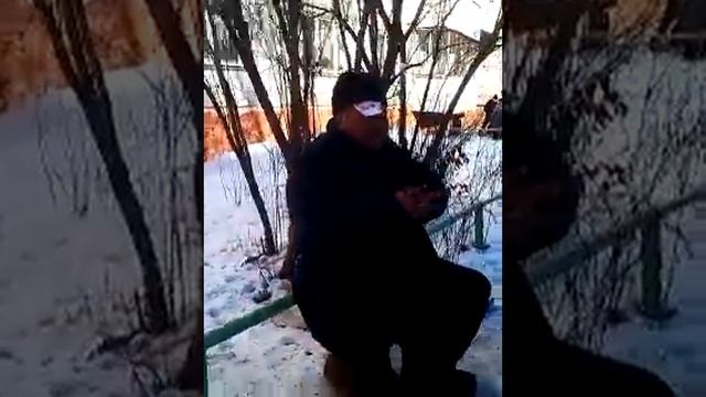 Прикол дня