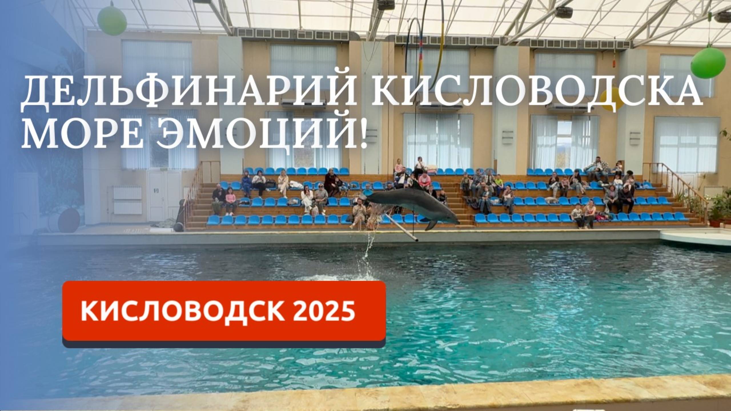 КИСЛОВОДСК 2025/ДЕЛЬФИНАРИЙ/ЗАМЕЧАТЕЛЬНОЕ РАЗВЛЕЧЕНИЕ