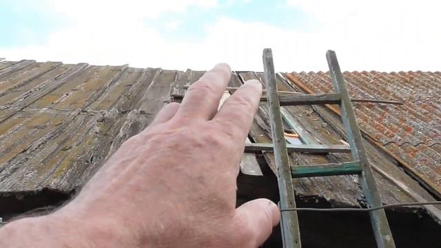 Двускатная крыша бани // Болячка у крыши залечена
