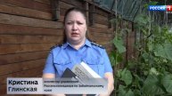 Россельхознадзор рассказал, как правильно использовать пестициды
