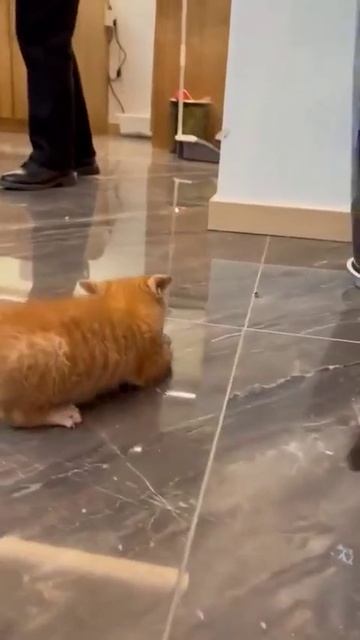 Моё молоко