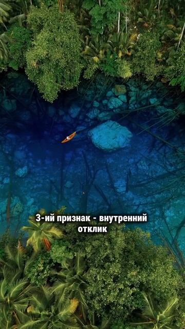 На своём ли ты пути? #творец #раскрытиесердца #силасознания #путьксебе #путькгармонии