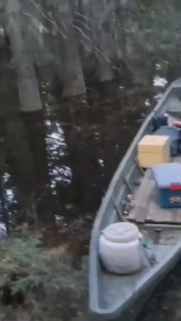 то что нужно для тайги лодка 9 метров,грузу берёт полто