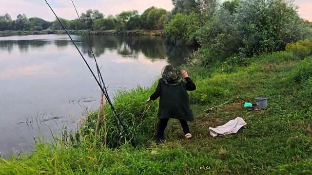 Летняя природа. Река Сож. Рыбалка