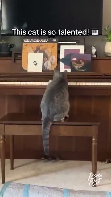video_2024-07-18_20-16-33