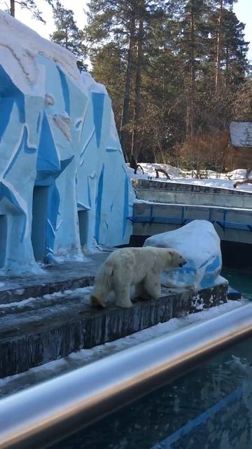 Новосибирский Зоопарк