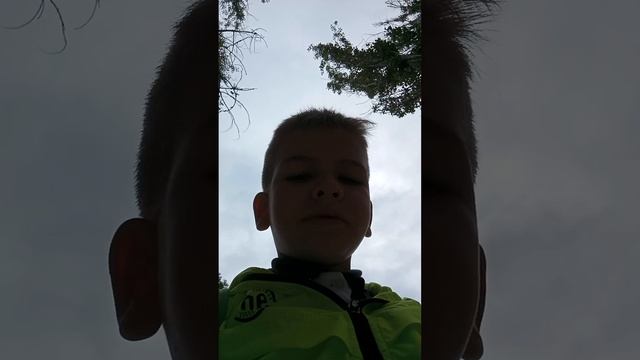 там
была
злая 
собака