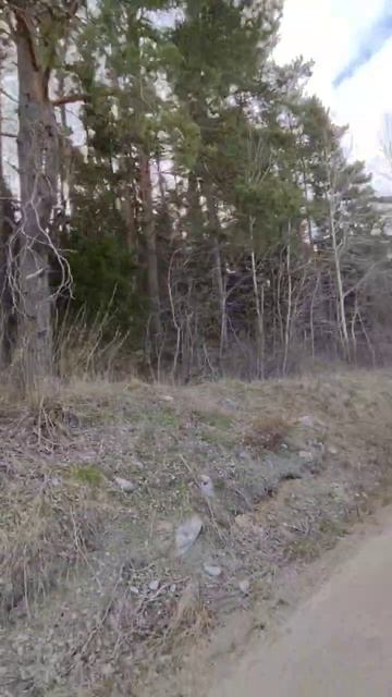 video_2025-05-13_23-06-21