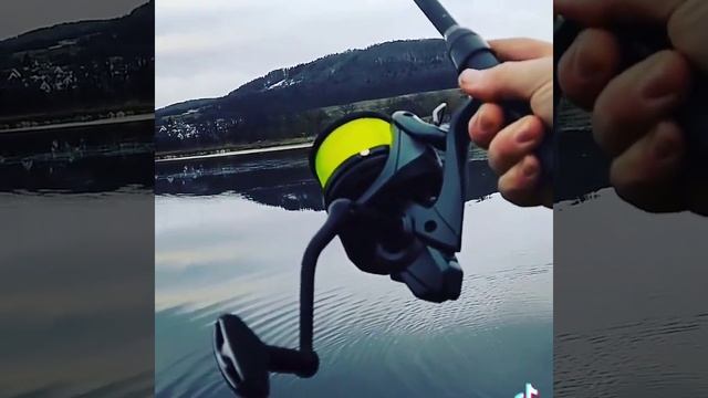 shimano Speed Master 14000xtc #angeln #fishing #рыбалка