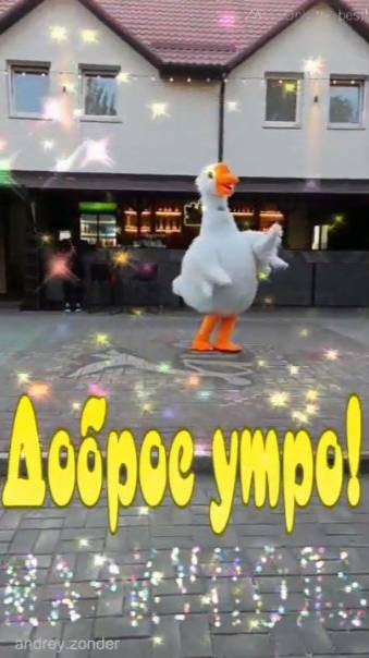 Доброе утро!) Яркого дня!)#доброеутро