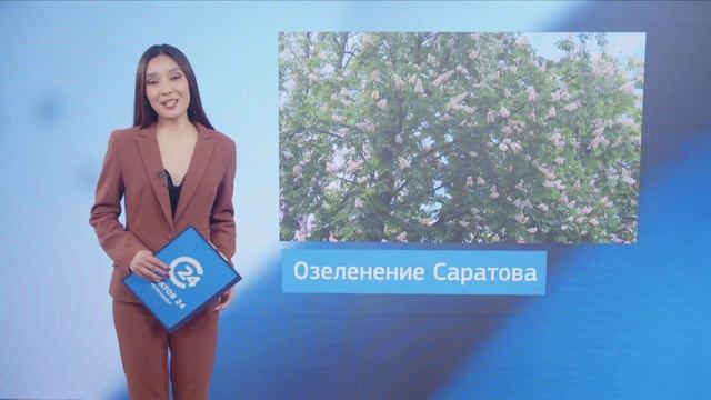Саратов. Сегодня | 13 мая