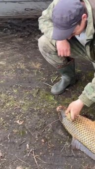 Как думаете сколько он весит? #fishing #рыбалка #shortvideo #carpfis
