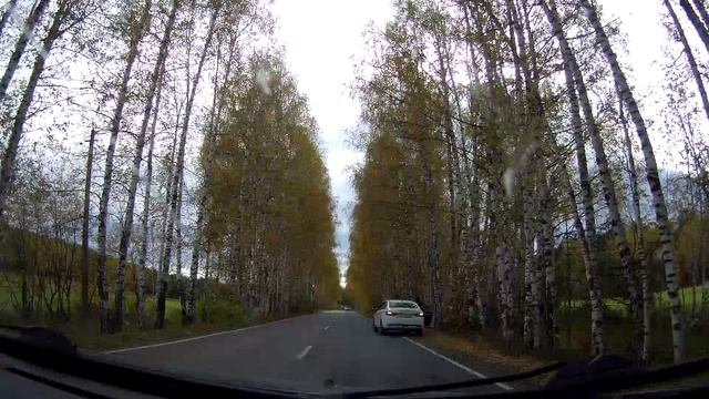 дорога