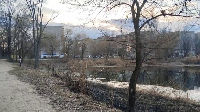 Пруд у Камелота. 25 марта 2025 г.