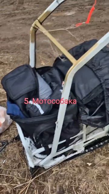 Полный список не влез в видео :) #зимняярыбалка #рыбалк?