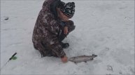 На запуске работают блёсны. Клёвое место, Лосиный остр