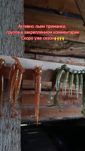 ты готов к сезону хищника? #рыбалка #fishing #спиннинг #гол?