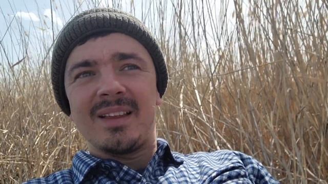 Капшагайское водохранилище. Тупиковый залив. Начался