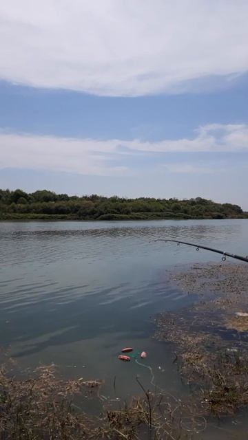 Больно Смотреть Как Падает Телефон | Приколы Fishing PRO Те?