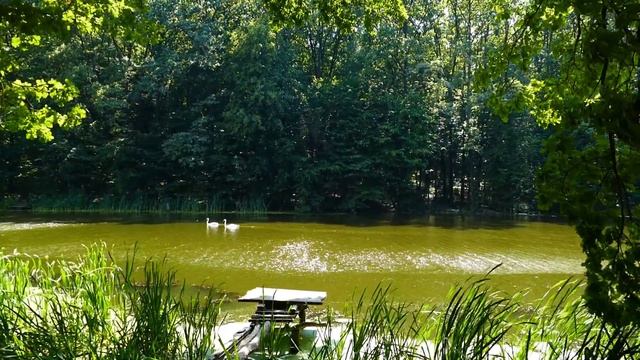 Обещанный День 🍃"АКВАРИУМ"