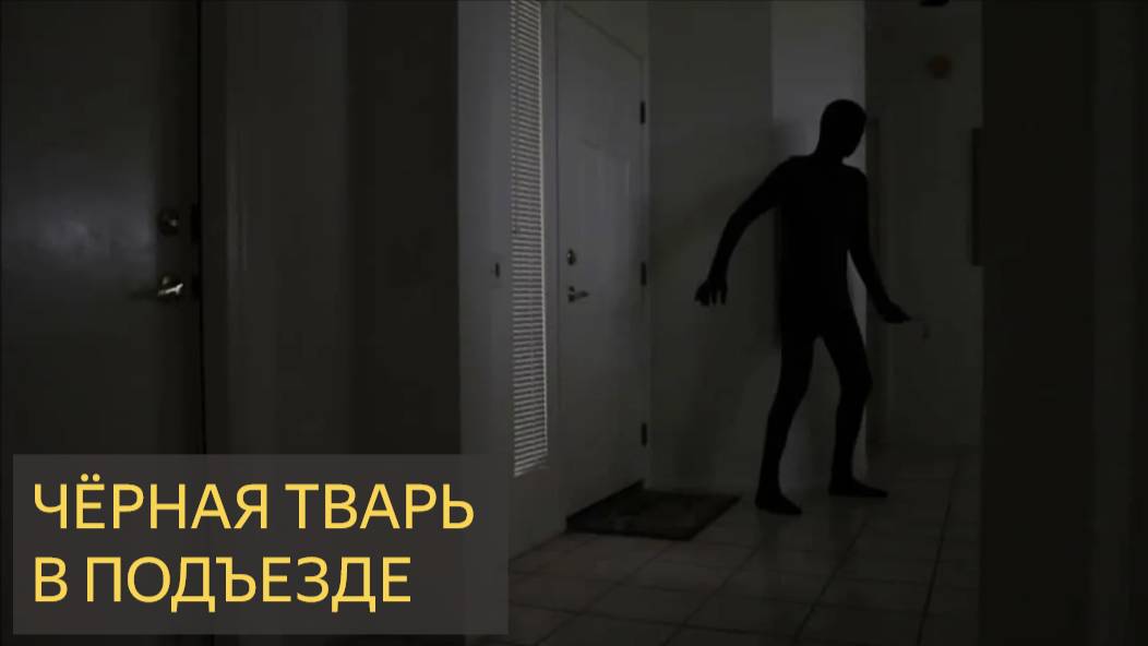 Чёрная тварь в подъезде (Мистическая история)