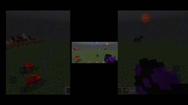 vidma_recorder_13052025_080239.mp4