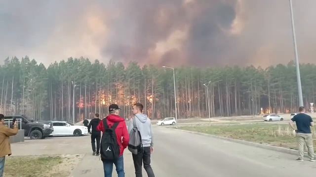 Огненный ад ! на подступах к Циолковску Амурская область пылает лес. https://t.me/novostinanta