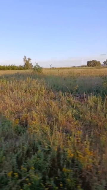 #нива #едим на рыбалку ))