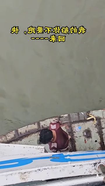 Cute and Amezing Ship story  #shortsvideo