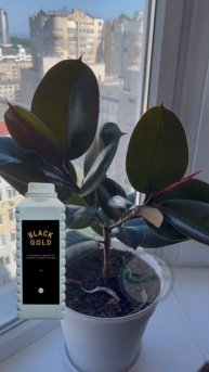 Органическое удобрение для роста BLACK GOLD/Organic growth fertilizer