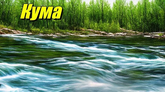 Кума