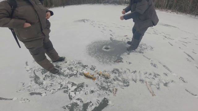 Щучки на ратлины, ловля на маленьком забытом озере