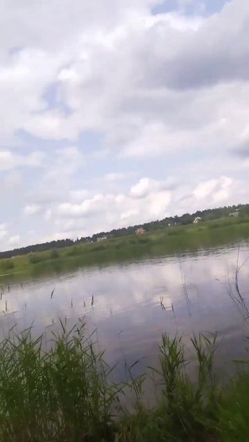 #рекомендации #тверскаяобласть