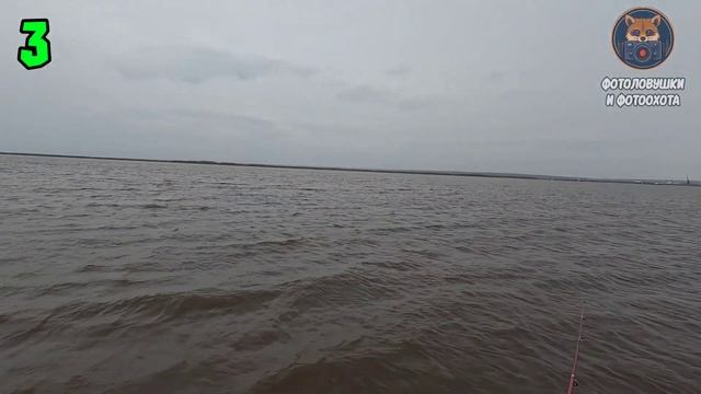 Осенняя спиннинговая рыбалка на Оби. Что можно вылови?