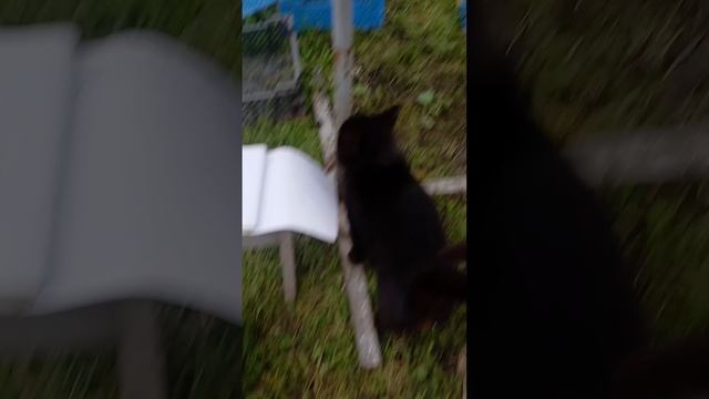 1000148829.mp4