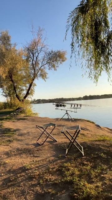 КЛЁВА НЕТ, СКУЧАЕМ #fishing #ловим #карп #сом #ловлярыбы #до?
