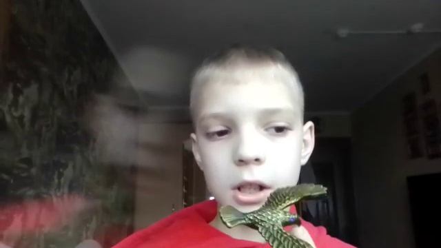 птичка балансир
