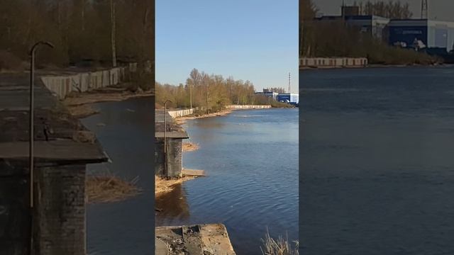 Река Нева, Санкт-Петербург. г.Кировск. 2024 г.
